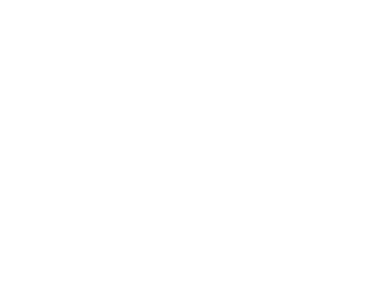 Logo Rapidin